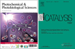 Covers of journals special issues from SPEA6